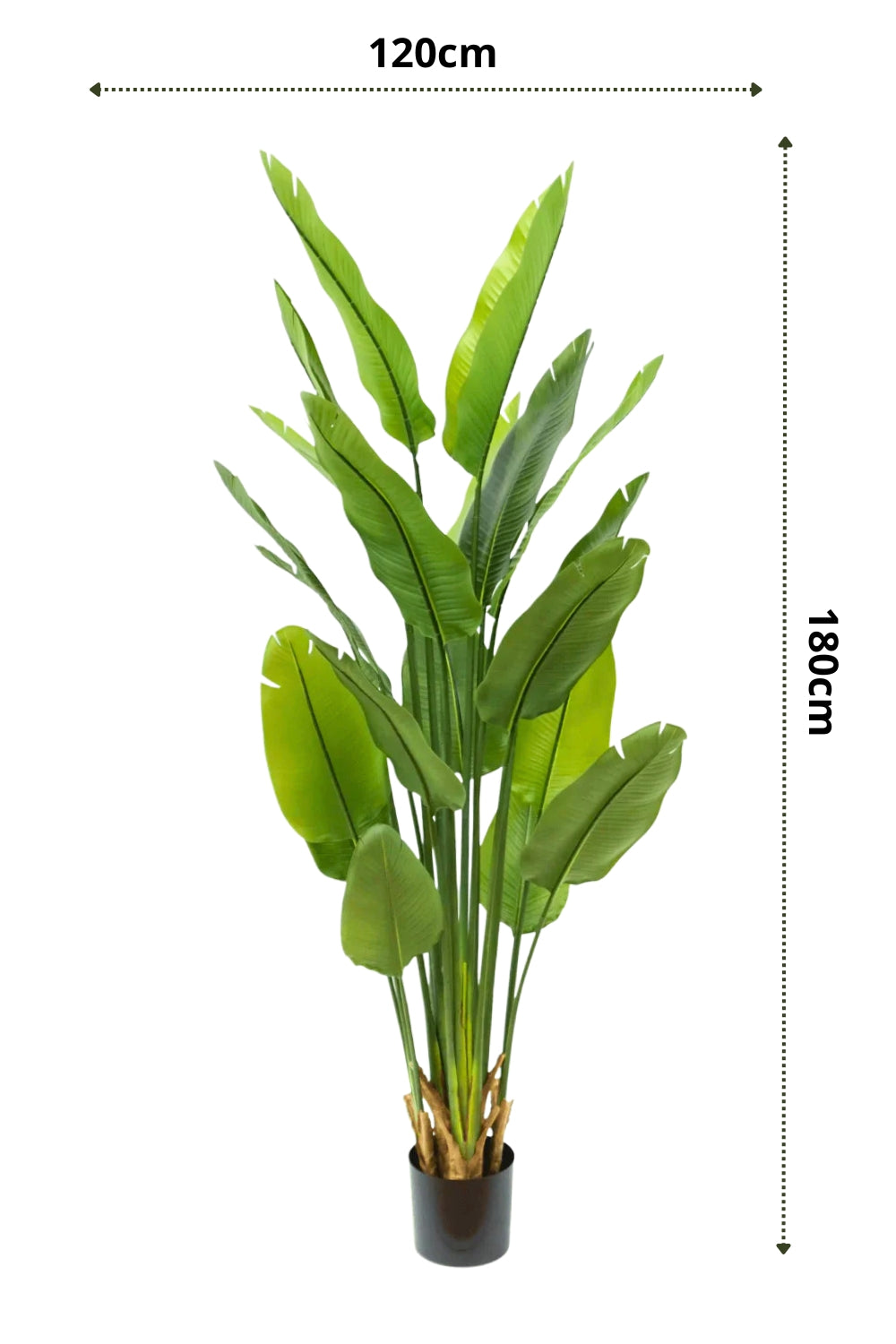Artificial Strelitzia Plant