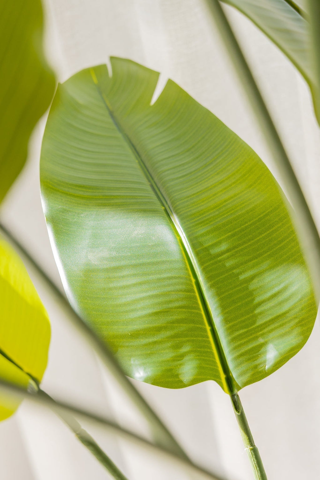 Artificial Strelitzia Plant