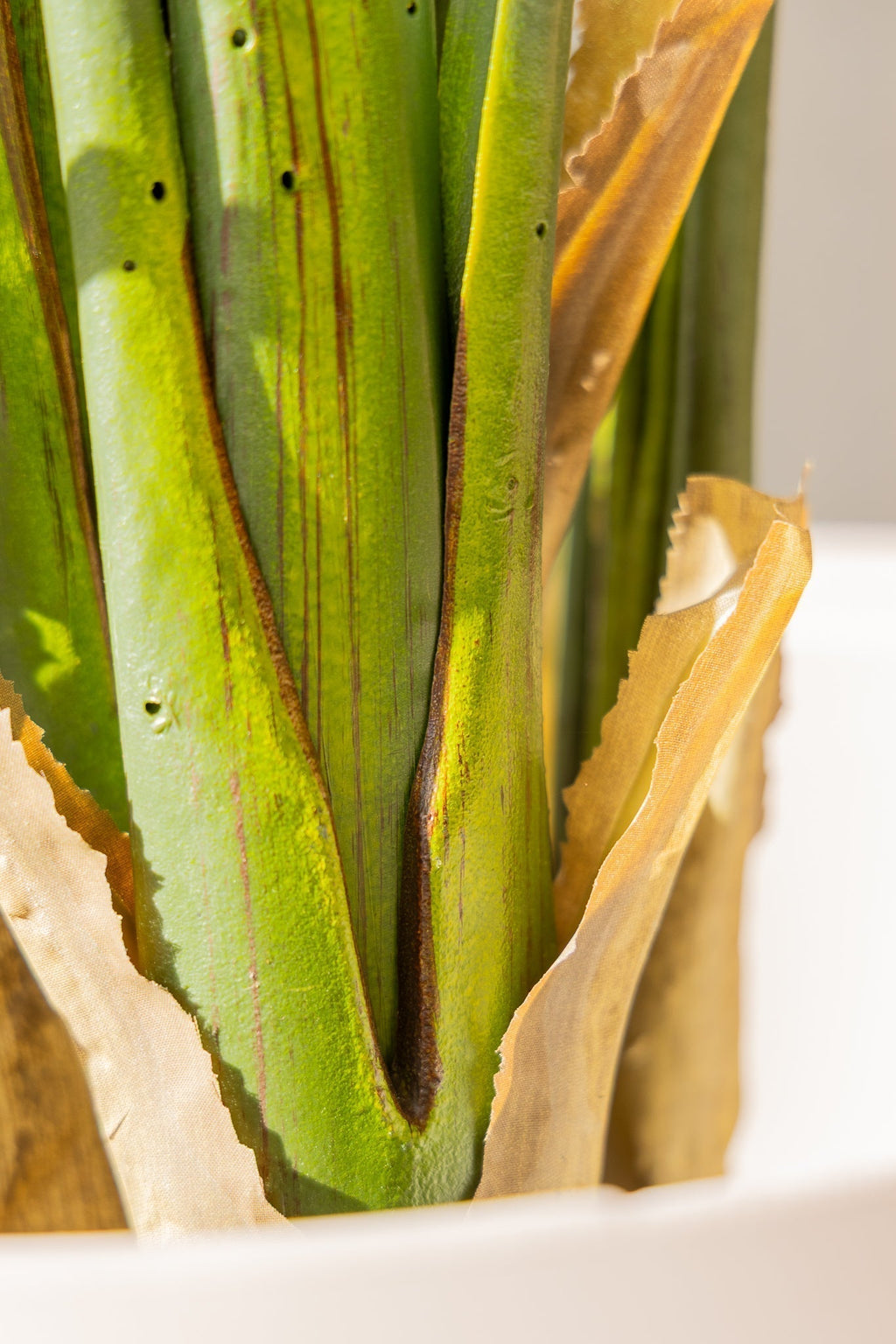 Artificial Strelitzia Plant